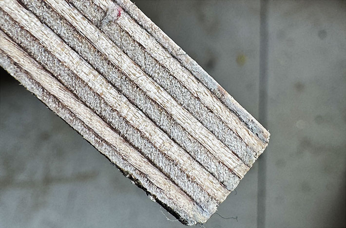Birch plywood in cross section